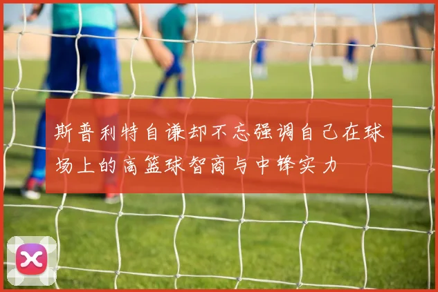 斯普利特自谦却不忘强调自己在球场上的高篮球智商与中锋实力